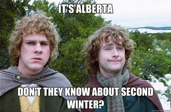 It's Alberta. Don't they know about second winter?