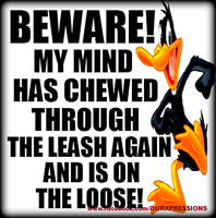 BEWARE! My mind has chewed through the leash again and is on the loose!